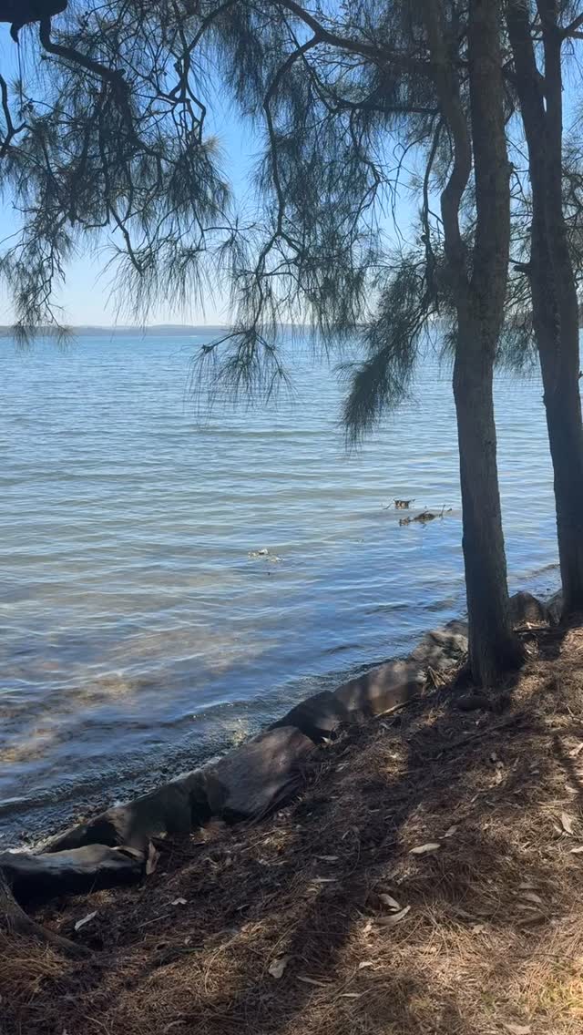 Nature is the best kind of reset