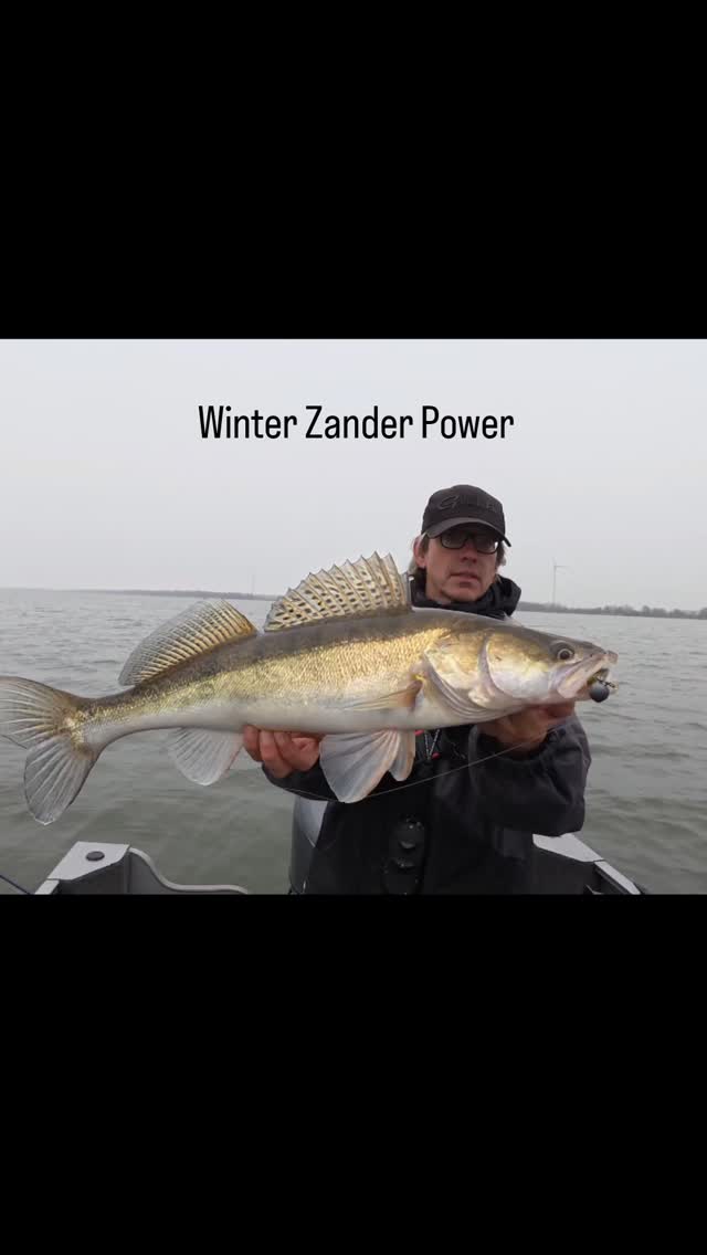 ** WINTER POWER GUIDING - ZANDER POWER** ⚡
Cold water. Hard hits.
A focused 5‑hour winter session on the **Hollands Diep**, built for anglers who want real technique, real feedback, and real results.
This is winter fishing at its purest:
precision drifts, controlled speed, and the kind of bites you only get when the water is cold and the fish are stacked.
💶 **Only €295**
❄️ January & February (Mon–Thu)
📍 Hollands Diep, Netherlands
👉 **Book directly via:**
https://en.lurefishingguide.com/winter-power-guiding
#yamahaprofishing #batterylabs #stcroixrods #spro #lurefishingguide
