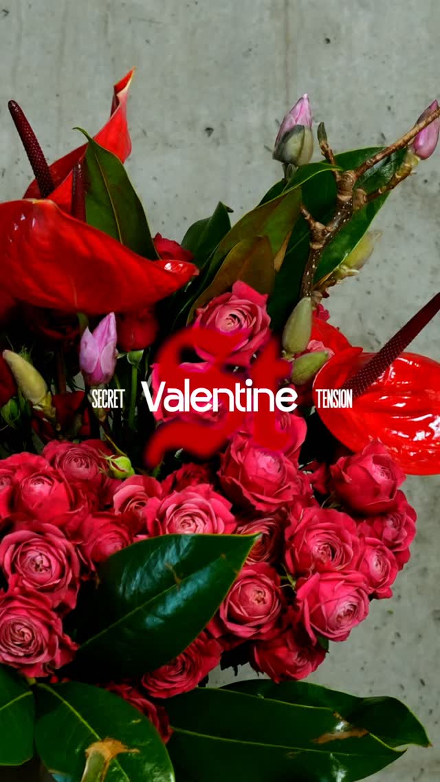 You don’t need to change to be loved.
You don’t need to explain yourself.
You don’t need to fit a mold.
Love begins where acceptance lives —
quiet, honest, unconditional.
You are already enough.💌