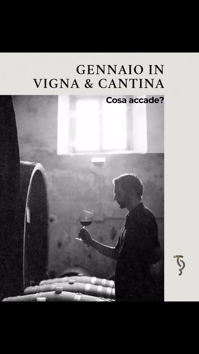 Gennaio in vigna e in cantina, Cosa succede ora?
In Vigna 🌿
Gennaio è il mese dell’immobilità apparente.
La vigna riposa in profondità, i filari restano spogli e silenziosi. Sotto la superficie, la terra lavora lentamente, assorbendo acqua e nutrimento.
In Cantina 🍷
Il lavoro è fatto di attese consapevoli.
I vini continuano il loro percorso, si chiarificano, si stabilizzano. Ogni controllo è discreto, ogni intervento minimo. Qui il tempo non si accelera: si accompagna.
📍Via Nino Tesoriere 7, Castellammare del Golfo
📞327 9523280
#gennaioinvigna#vini#cantina