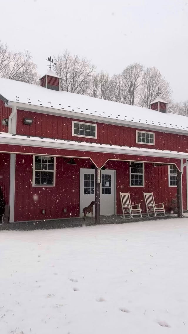 Who else wishes you could go pick a Christmas tree in the snow again? We can’t believe this was just last month! Everyone stay safe in the storm this weekend ❄️
#christmastreefarm #southernmaryland #maryland #snowstorm #marylandchristmastreefarm