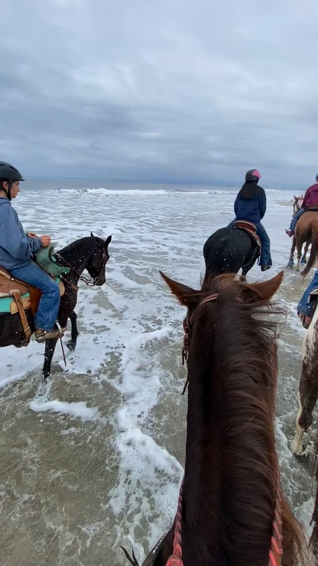 Dreams can take you where you never imagined ✨