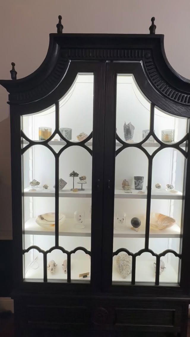 A closer look at this case✨Gothic cathedral inspired and filled with beautiful art! 🌙🖤