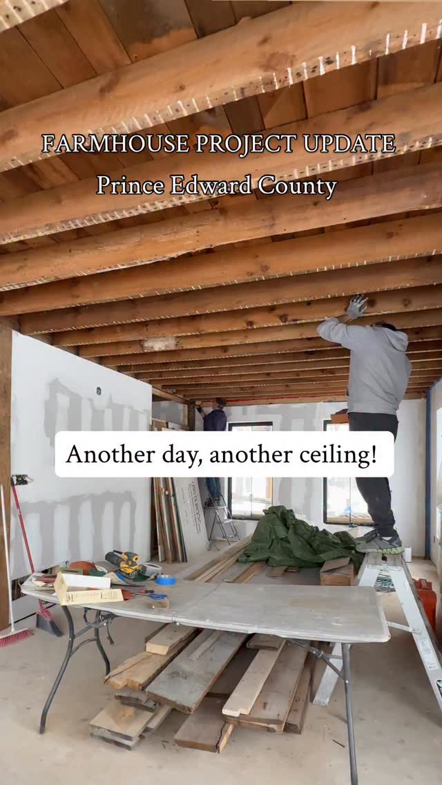 Farmhouse Project Update🏡
Another day, another wood ceiling!😊
We have decided to leave the original wood ceiling in the farmhouse livingroom exposed and have been avoiding dealing with how to clean it up until now.
The original lathe and plaster has left white stripes on the bottom of the joists and it’s been nearly impossible to remove. We have resorted to sanding just to speed up the process. It’s very messy but much faster! 😩
Any suggestions on how to remove old plaster stains are welcome! 🙏
#woodceiling #ceilingmakeover #farmhouserenovation #renovation
renolife old house
renovation project house renovation
Prince Edward County