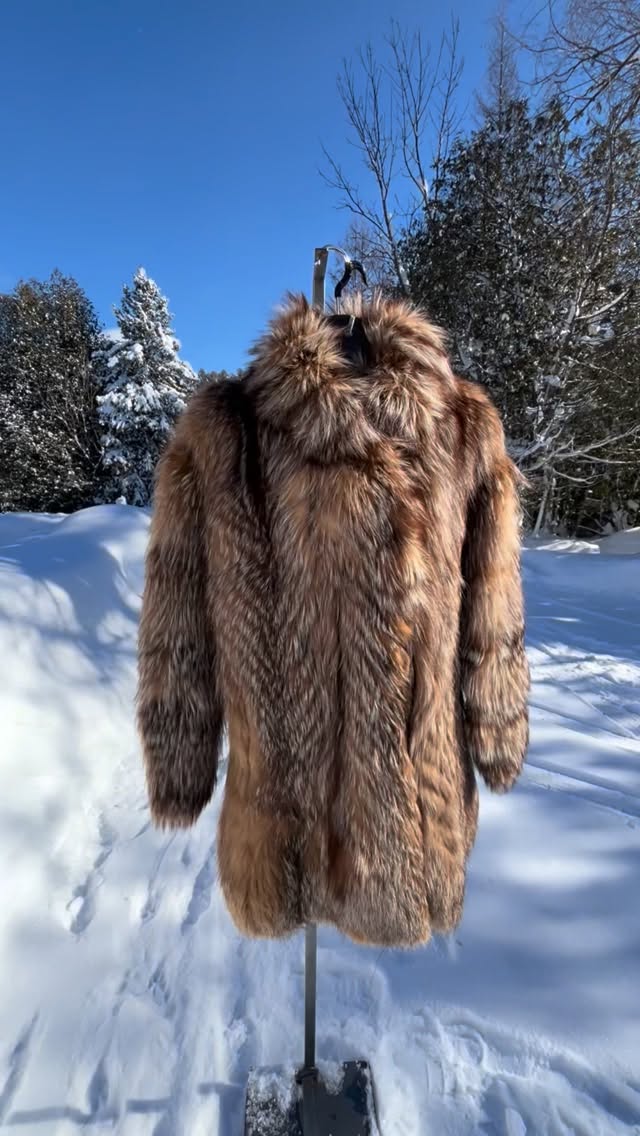 Shop these beautiful vintage furs are now available online.
#vintage #furcoatseason #furs #vintagefashion #vintageclothes