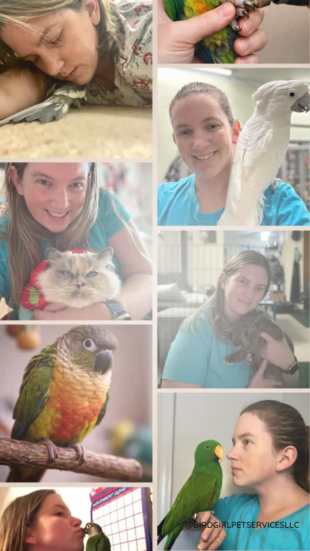 Boarding an exotic pet isn’t about finding a place —
it’s about finding the right handler.
Before choosing care, here are a few things that truly matter:
• Experience with your specific species
• Calm, intentional handling practices
• A low-stress environment
• Clear communication and expectations
• Someone willing to say no when a situation isn’t a good fit
Good care protects more than schedules.
It protects safety, health, and long-term trust.
Your pet deserves care that understands their needs — not just accommodates them.