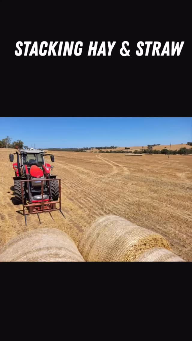 When the job’s non-stop but the fuel gauge barely moves… 💪 this 7S has stacked 4004 bales for trucking this season!
This Massey Ferguson 7S.165 Dyna-6 has been flat out stacking hay and straw, clocking nearly 9 hours on this day with an average fuel use of just 5.7 L/hr. That’s serious efficiency for a tractor doing real work, not brochure work.
Thanks to MF Connect & Fendt Connect, owners (and dealers) can see exactly what the machine is doing — fuel consumption, operating hours, location, service requirements and even fault codes — all remotely.
✅ Smarter fuel management
✅ Less downtime
✅ Faster diagnostics and servicing
✅ Better decisions backed by real data
Hard-working, fuel-efficient, and fully connected. This is what modern farming looks like with Massey Ferguson and Fendt 🔥
#MasseyFerguson #MF7S #MF7165 #Dyna6 #MFConnect #FuelEfficiency #HaySeason #StrawStacking #SmartFarming #FarmLife