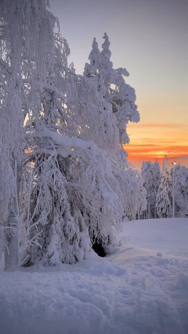 Such a beautiful day❤️ and I’m not only talking about the stunning landscape but mostly about the time we spent today with so many beautiful people.
Thank you all🤍
#levilapland #finnishlapland #snowytrees