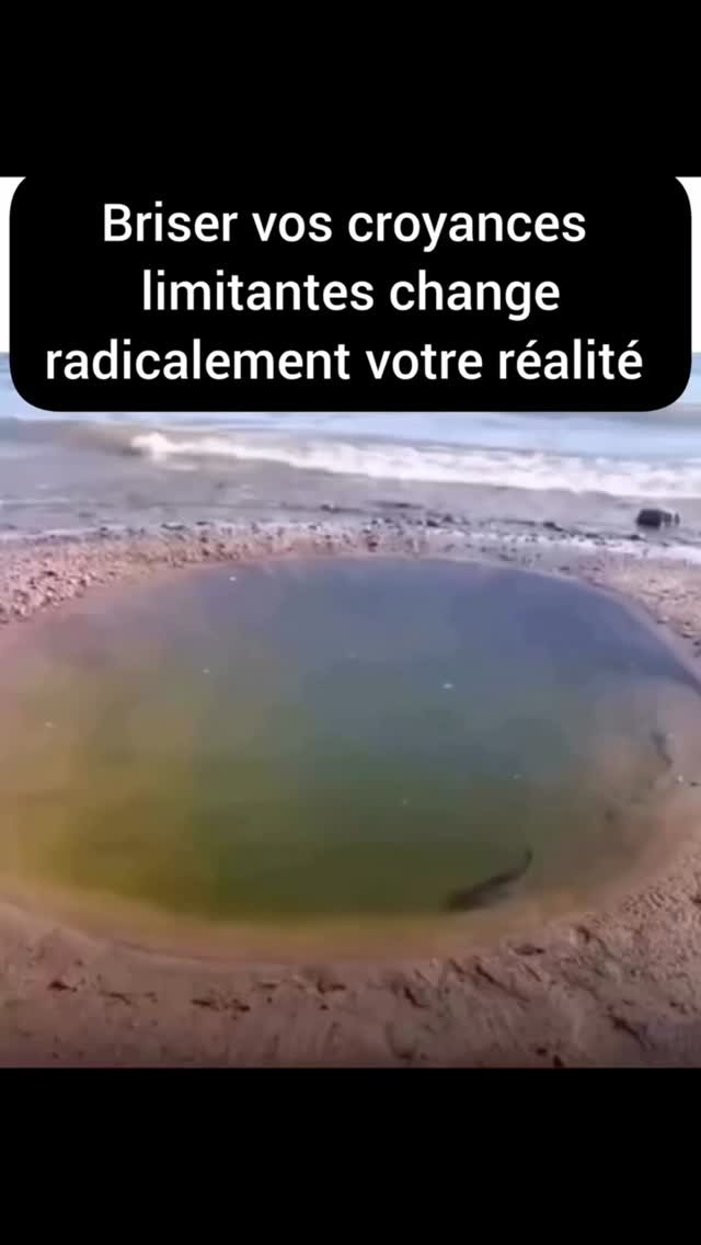 ⚠️ Les croyances limitantes naissent de blessures du passé.
Entre 0 et 7 ans l'enfant que vous étiez s'est construit et confronté au monde. Vous avez vécu de belles choses mais aussi vos premières blessures émotionnelles au travers de votre éducation, des blessures de vos parents, des conditionnements de la société, de l'école...
Ces blessures qui vont ont fait vivre des injustices, de la trahison, de l'abandon, du rejet, de l'humiliation, de la maltraitance, de l'indifférence etc... vous ont poussé à vous protéger pour ne plus revivre d'émotions désagréables. L'enfant que vous étiez s'est alors créé des croyances autour de chaque blessure pour éviter de souffrir à nouveau.
Imaginez le nombre de croyances que vous avez créé suite à toutes ces fois où votre émotion n'a pas été accueillie et que vous avez souffert de rejet, d'abandon, de trahison etc... Et la plupart de ces croyances limitantes sont inconscientes !
👉 Oui, sauf que toutes les croyances qui vivent en vous, dans votre inconscient créent votre réalité d'aujourd'hui.
C'est pourquoi vous pouvez encore vous limiter et vivre dans une petite marre au lieu de l'océan. Vos pensées négatives, vos croyances entretiennent vos schémas répétitifs qui vous poussent à tourner en rond...
Vous savez ces phrases : "je ne mérite pas ; je ne suis pas à la hauteur ; je ne suis pas digne d'amour ; les autres sont meilleurs que moi ; je suis nulle...". Ces croyances constituent votre prison intérieure.
Parfois il suffit juste de prendre conscience de ce fonctionnement, de plonger en soi d'aller voir ces parts de vous qui manifestent tout, pour avoir l'élan et le courage de manifester une autre réalité.
👉 ÉVÉNEMENT OFFERT du 02 au 05 février pour : comprendre le fonctionnement de votre inconscient, reprogrammer avec l'Hypnose, et débloquer votre pouvoir de manifestation.
Inscription : https://guerdet-laura.systeme.io/inscription
Lien en bio
#inconscient #reprogrammation #enfantinterieur #emotions #etresoi #DéveloppementPersonnel #GuérisonÉmotionnelle #CroyancesLimitante #TransformationIntérieure #hypnose #confianceensoi #paixintérieure