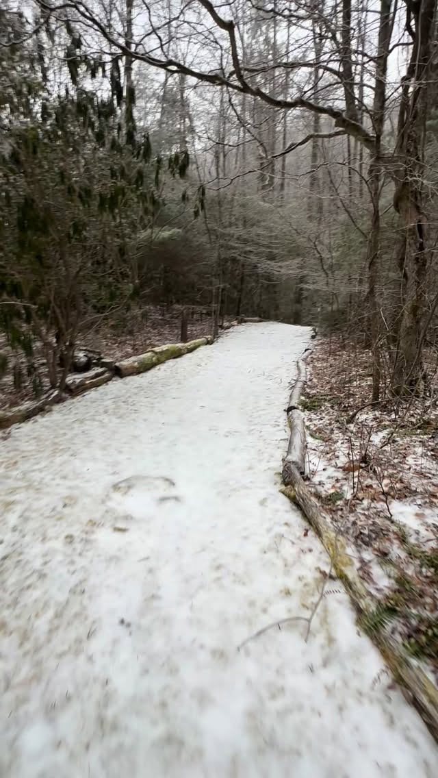 When I start feeling overwhelmed my go-to is a “Breather with Bubbles.” This looks like a slow sniff walk on the mossy (or today icy) path, a pause for thought by the creek or a mindful moment by the pond as Bubbles looks for fish. Being present with Bubbs also helps me process aaalllll the emotions that come up with daily news.
If you’re in need of some downtime with your dog, come see us. We’re offering a discount to do so.
DOGSARETHEBEST20%
This is for 20% off your entire stay🫶. We’ll leave this offering active for two weeks and it’s valid for reservations from Feb 1st through April 30th.
When reserving, on the same page as “Guest Details” you’ll see an “order summary.” This is where you can apply code DOGSARETHEBEST20% prior to proceeding to check-out.
*The three units with kitchens (Bam’s Bungalow, Herschel’s Suite and Pebbles’ Place) are the only units available during February until the first day of Spring (March 20th). Keep in mind it’s winter in the mountains so icy road conditions and power outages can occur. If winter weather is calling for a complete unsafe mess, we will refund or reschedule your trip.
If you’ve already booked for these dates, we’ll honor discount at check-in.
Give your pups a scritch from us💖