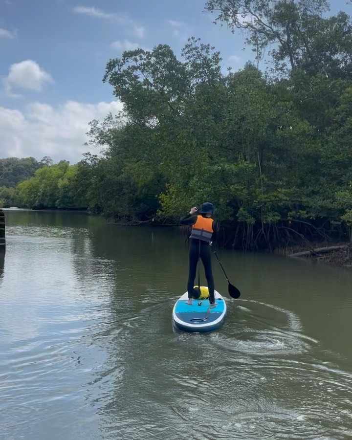 😎
.
.
.
.
.
.
.
.
#singaporetourism #suplifestyle #suplove #singaporeadventures #supday #supsession #suptours #triptosingapore #discoversg #sgdeals
#supadventure #suptrip #wateractivities #singaporetravels #visitsg #familyactivity #singaporediscovers #paddlelife #supathome #paddlesports
#paddleon #singaporetours #wateradventures #outdoorrecreation #whattodoinsingapore #letsexploresg #singaporeig
#nature #planetearth #Mangrove