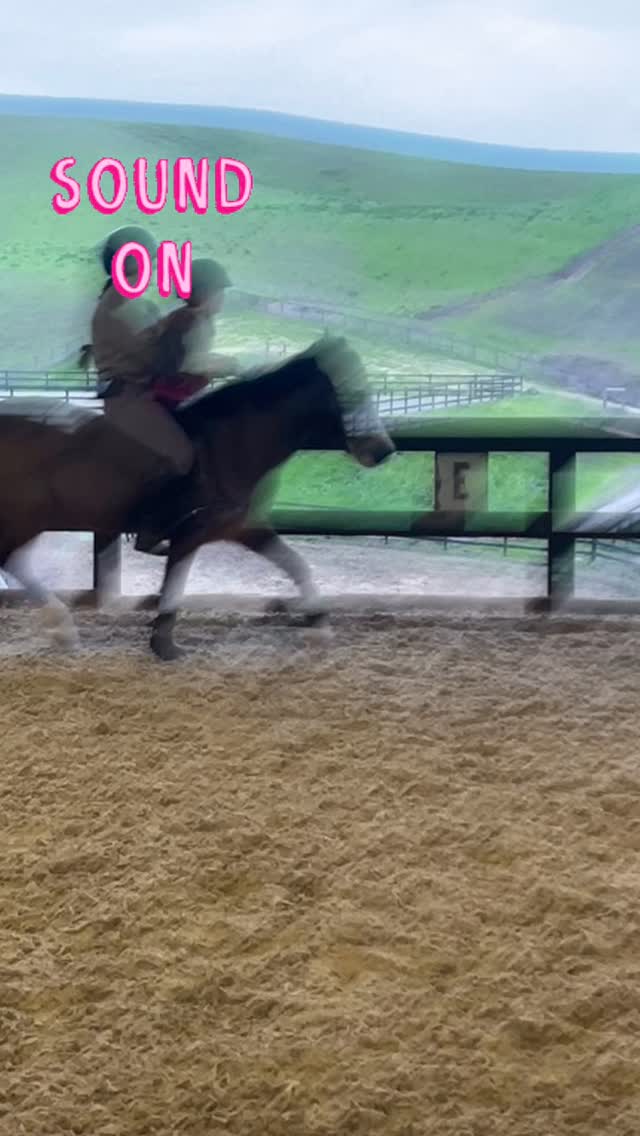 Annabelleā¦Iām not cantering, Iām not cantering!
Meā¦did you have fun.
Annabelleā¦oh yes!
These days really make me smile! Progress is hard! Annabelle jumped to the next level todayšš¼šš¼šš¼#teamkmt #jumpingtothenextlevel #learningisfun #proudtrainer