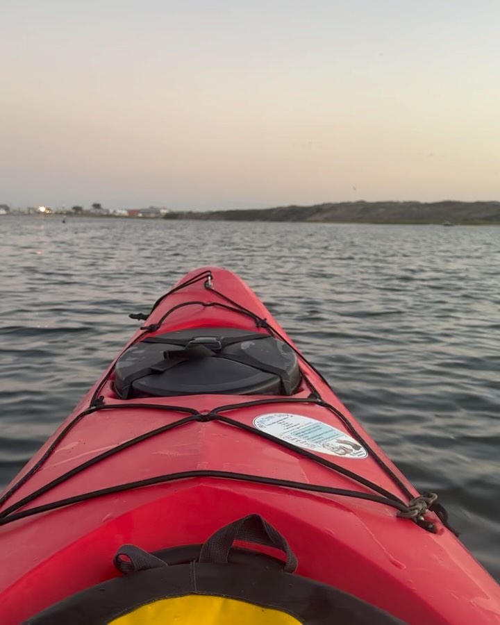 Friends and I went on a bioluminescent kayak tour on the Elkhorn Slough in Moss Landing. Elkhorn Slough is my favorite place to kayak. We saw so many birds (last photo - blurry snowy egrets!), otters, sea lions, and of course on this tour, magical glow-in-the-dark algae! It was serene to be on the water at sunset and after dark. Thanks @kayakconnection!