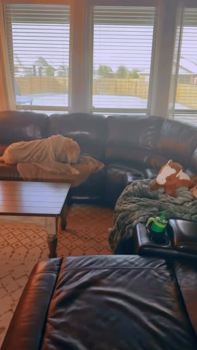 Have a heart. Do the right thing.