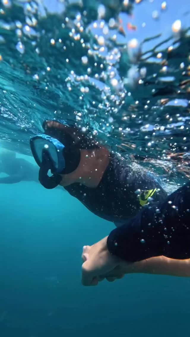 Nothing beats doing what you love most, with the people you love most. 🫶
Extra special dive today, got to take the family out to Julian Rocks (Nguthungulli), to swim with leopard sharks.
Today was a big milestone too, Tristan (the youngest brother) has had a lot of difficulty with his equalisation. Yet, today he was able to equalise both his ears and dive deeper a more comfortably than ever!
My other brother, Alex, also has worked out his hands free equalisation (welcome to the club!). 🔥