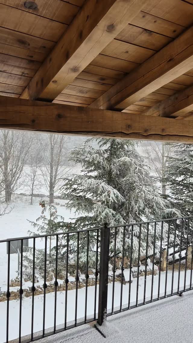 #vilafranca #neu