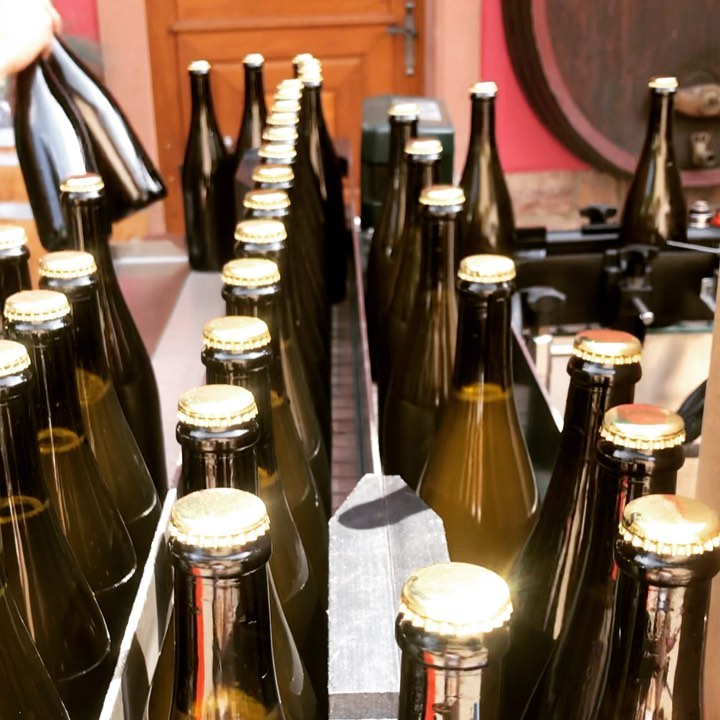 • Mise en bouteille Crémant •
•
•
•
• #drinkalsace #alsace #wine #winelover #cremantdalsace #cremant #vinsalsace #vin #winelife