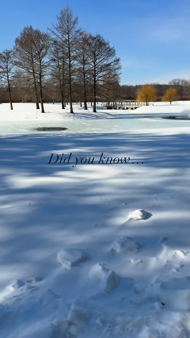 Don’t fear the chill—embrace it. ❄️
Walking in cold weather isn’t just invigorating (or an adventure however you look at it)—it’s powerful.
Here’s why you should keep moving even when it’s cold:
🔥 Burns More Calories – Your body uses more energy to stay warm.
🛡 Boosts Immunity – Moderate cold exposure can help strengthen your immune system.
🌤 Elevates Mood – Natural light + movement help fight seasonal blues.
💪 Builds Mental Grit – Training in less-than-perfect conditions grows your resilience.
❤️ Improves Circulation – Cold air stimulates blood flow and heart health.
Layer up, step out, and feel the shift. Small, sustainable habits—even in winter—lead to lasting wellness.
#winterwellness #movemorefeelbetter #sustainablehealth