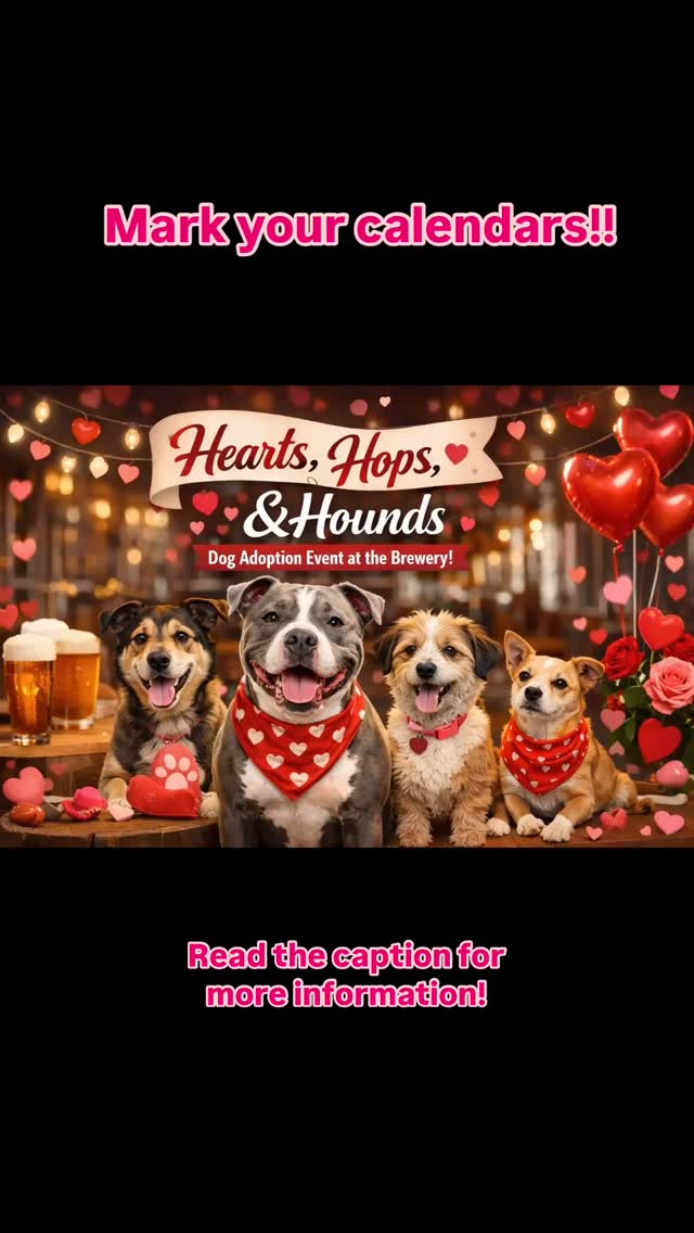 🐾 Pups, Pints, and Giving Back! 🐾
Join us Sunday, February 7th from 1–4 PM at @pantherislandbrewing (501 N Main St, Fort Worth, TX) for an afternoon of furry friends, fun, and refreshments!
Meet adoptable dogs from Fort Worth Animal Care & Control— even if you’re not ready to adopt, you can still come enjoy the pups and support a great cause.
🍻 Give back with a wristband: For $20, enjoy 3 beers, wine, or cider, and 50% of proceeds go to Cowtown Friends to support lifesaving work. A simple way to make a difference while sipping your favorites!
Bonus Fun: Panther Island Brewing is also hosting a Galentine’s Day event featuring permanent jewelry, fun giveaways, and other amazing local vendors!
Come for the pups, support a cause, and leave with a full heart 💕🐾