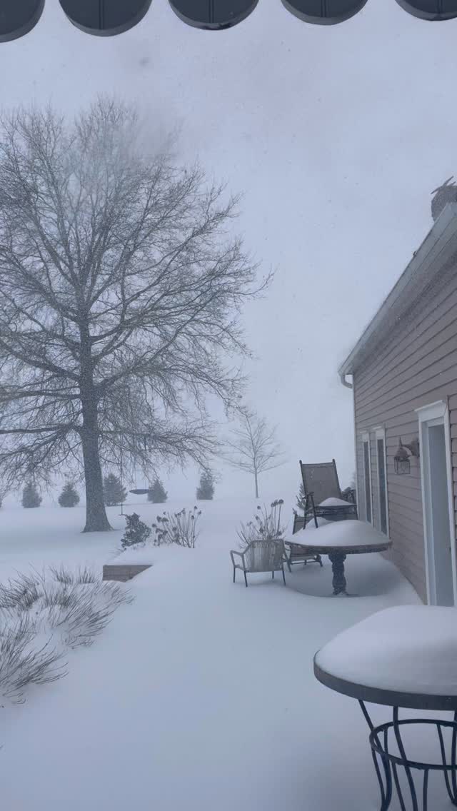 It was a snow day….💙❄️❄️❄️💙