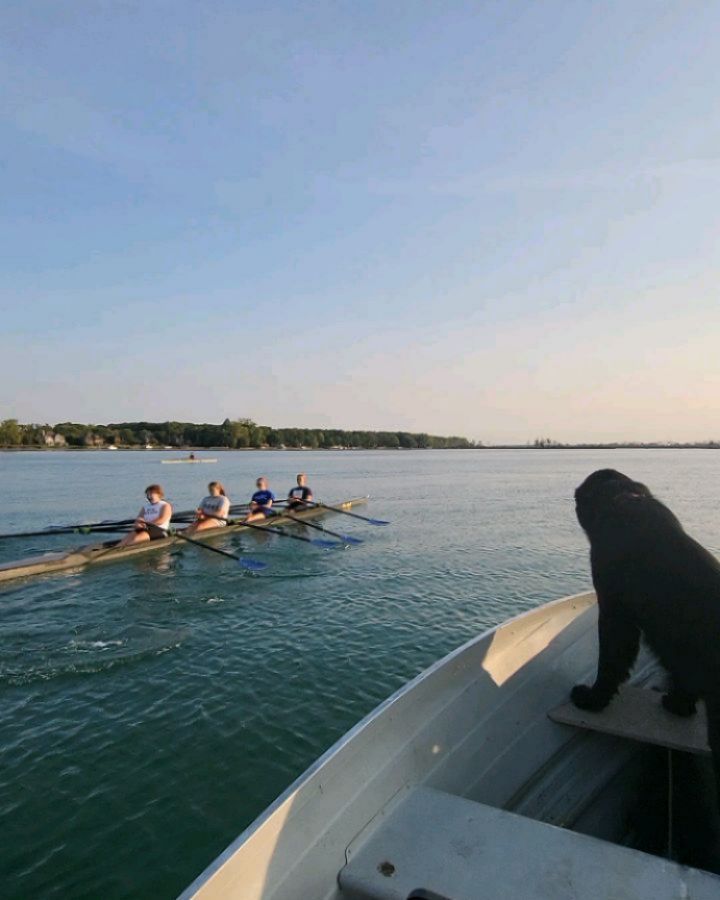 Swipe to see the ๐ฆ.
Sorry for the silence! The water has just been too good to us so far! It's been a great September with some new and old faces. Interested athletes are welcome to stop by anytime this Fall.