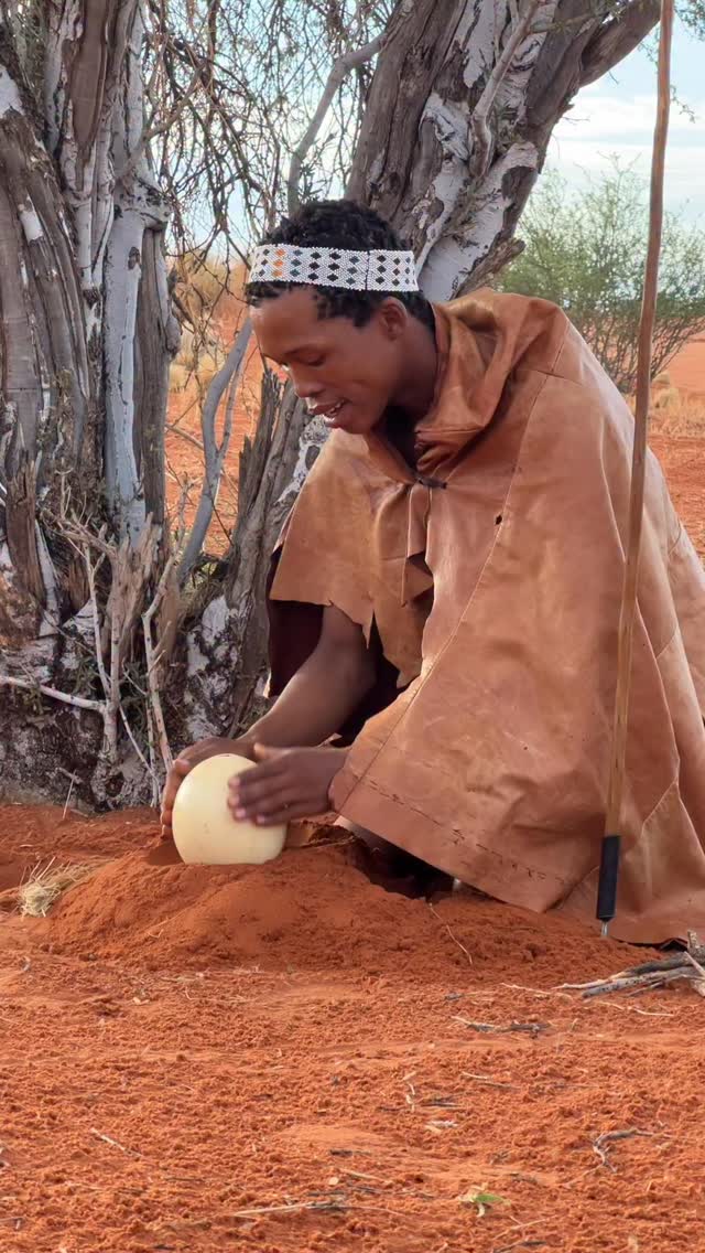Rooted in the oldest living culture on Earth, the San Bushmen of Namibia carry knowledge passed down over tens of thousands of years. 🇳🇦
From reading the sand like a map to storing precious water in ostrich eggs buried beneath it, survival here is guided by wisdom, not excess. Every movement is intentional, every resource respected - a quiet reminder of how deeply humans can live in balance with the land.
#namibia #travel #travelnamibia #africa #idreamnamibia