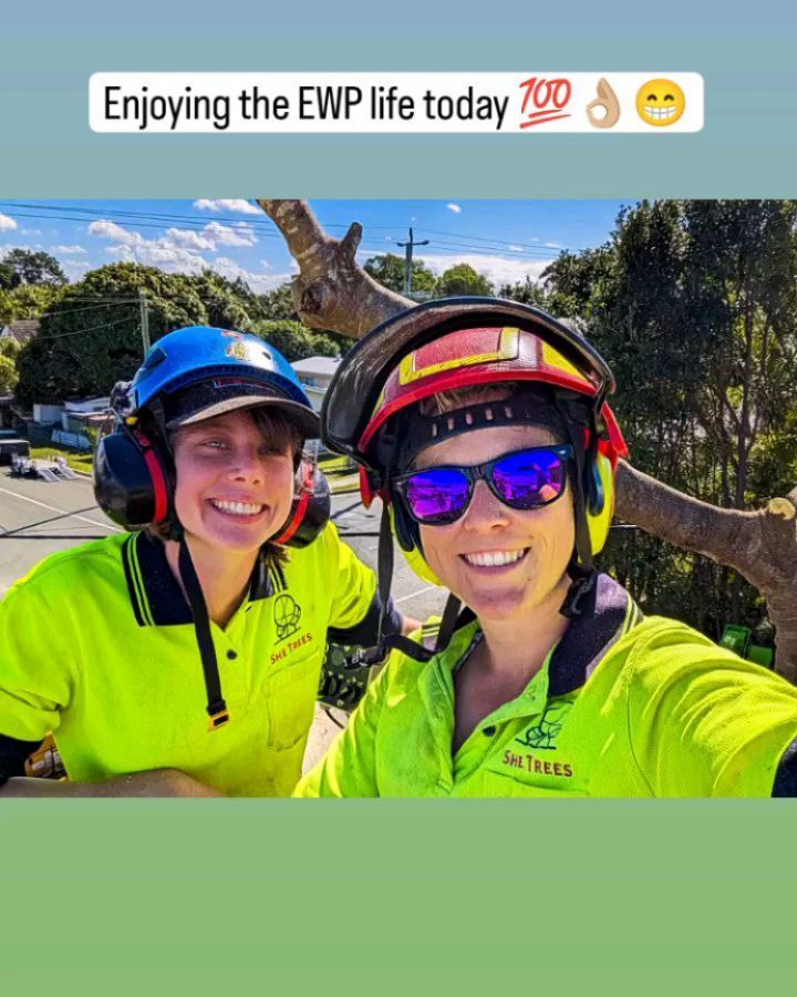 A few highlights from the last few weeks at She Trees 💯👌🏼💥 We welcomed Jorja up to Queensland, hung another nesting box, removed Brock least favourite tree 😂 Following the business plan: Do good work with good people. Keeps things simple 😎🤓🤠
