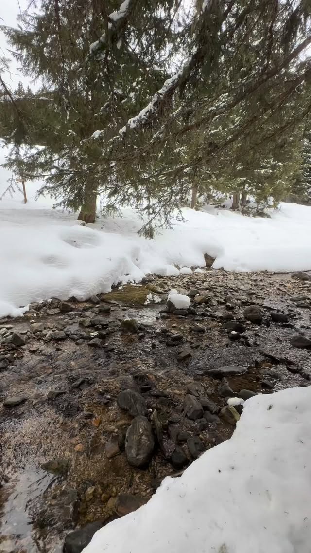 ##raquettes #snowshoeing #laplagne #randonnée