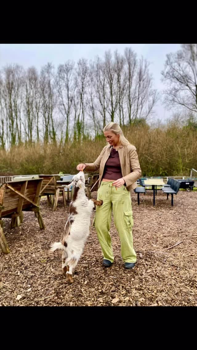 A day well spent surrounded by alpacas, donkeys, pigs, silkie chickens, and pygmy goats-pure farmyard happiness at Woodlands. 💚
#warringtonfarm #alpacawalking #pygmygoats #cheshire #woodlandsalpacafarm