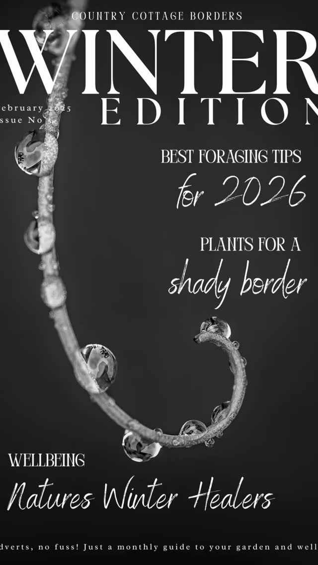 Februarys magazine is out now! Packed full of month by month advice whether your on the allotment, or in your flower garden.
This issue also covers
š±What to plant in a shady border
š±Foraging tips for 2026
š±Winters healing herbs
You can sign up to receive straight into your inbox via the link below ā¬ļø OR, Link in Bio ā¬ļø
https://www.subscribepage.com/country_cottage_borders #garden #tips #goodreads