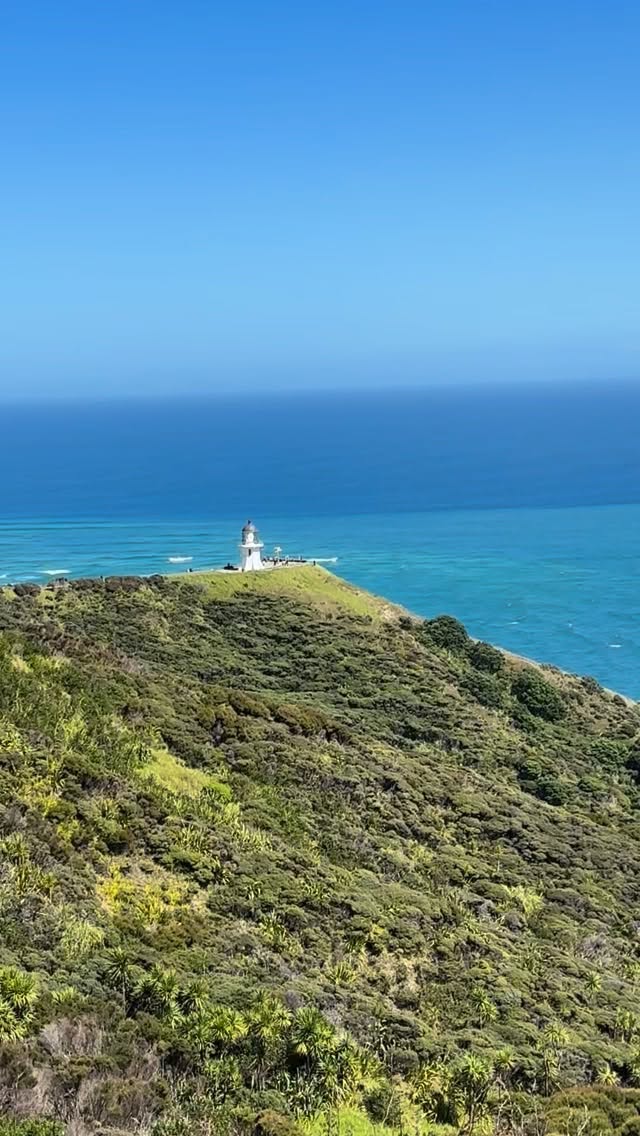 ✨Cape Reinga, at the very tip of New Zealand’s North Island, is one of the country’s most spiritually and culturally significant places.
For Māori, it is the sacred point where the spirits of the dead depart on their journey back to their ancestral homeland of Hawaiki. The lone pōhutukawa tree clinging to the cliff is said to be the gateway for this passage. Geographically, it’s also dramatic — it’s where the Tasman Sea and Pacific Ocean meet, their currents colliding in visible swirls.
#nz #nztourism #newzealand #privateguide #capereinga #nzmustdo #nztour #explorenz