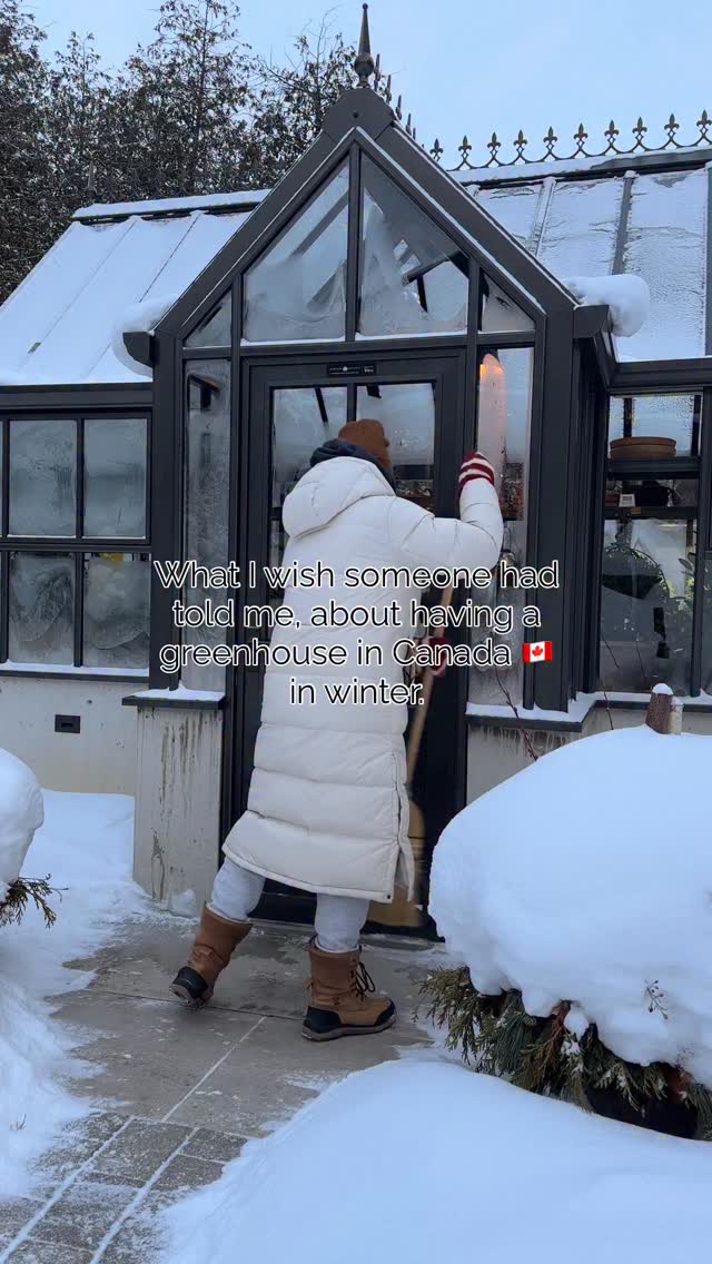 This is our second Canadian winter with our beautiful @hartley_botanic greenhouse. Going into this, we were starting from scratch. We had little to no information on how to maintain a greenhouse in our -25 degrees climate, and couldn’t find much either.
We froze the water lines in our first year, so introduced a supplemental heat source, increased airflow and installed a generator for those all too common power outages. We have so much to learn still but a seed of knowledge has been planted and we’re able to trust the systems that we have in place.
Who knew that gardening can be a 365 day hobby in our little town of Elora, Ontario 🖤