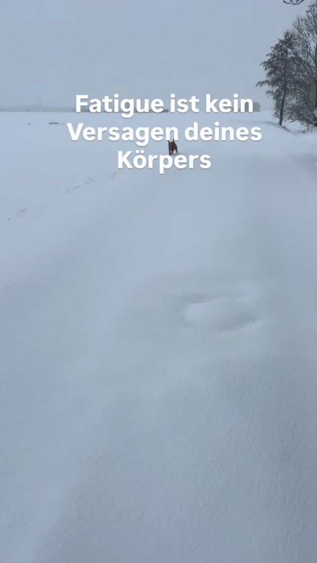 Wenn du dich ständig erschöpft fühlst, liegt es nicht an dir. Dein Körper geht in die Reserve, um sich zu schützen und zu regulieren.
Der größte Schmerz entsteht oft nicht durch die Müdigkeit selbst, sondern durch den Druck, „weiterzumachen“, alles zu verdrängen oder nicht akzeptieren zu wollen.
🧡 Erlaube dir, hinzuhören. Akzeptiere dein Energie-Level. Weniger Druck = mehr Heilung.
✨ Du bist nicht schwach – ganz im Gegenteil! Du hälst jeden Tag so viel aus- erlaube dir loszulassen, genauso kommst du in die Heilung! 🎈
#fatigue #postcovid #ms #autoimmunerkrankung #winter