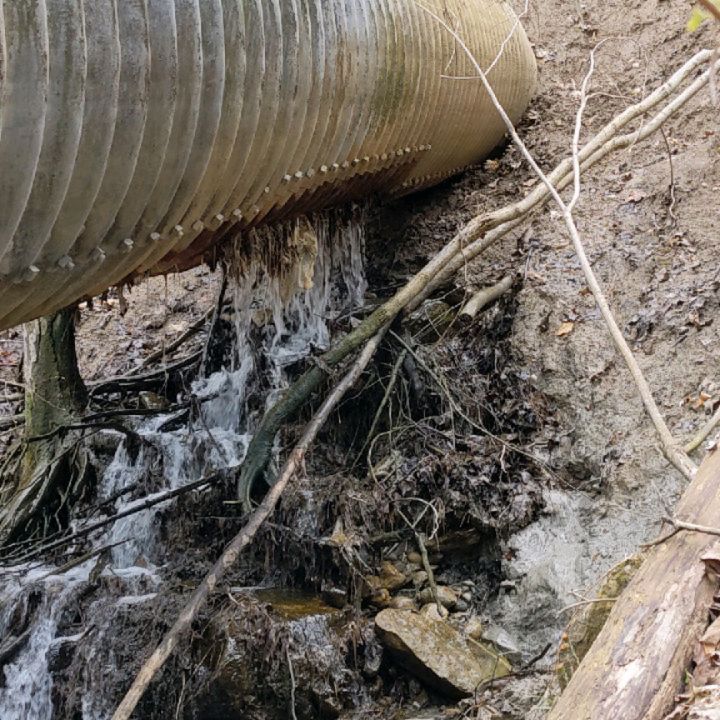 Happy Earth Day to all! How fitting that today @nespolo88 and @mbassingthwaite are out surveying a portion of Morningside Creek in Scarborough. Although it's a bit cold, as they say - any Earth Day outside is better than an Earth Day in the office!
