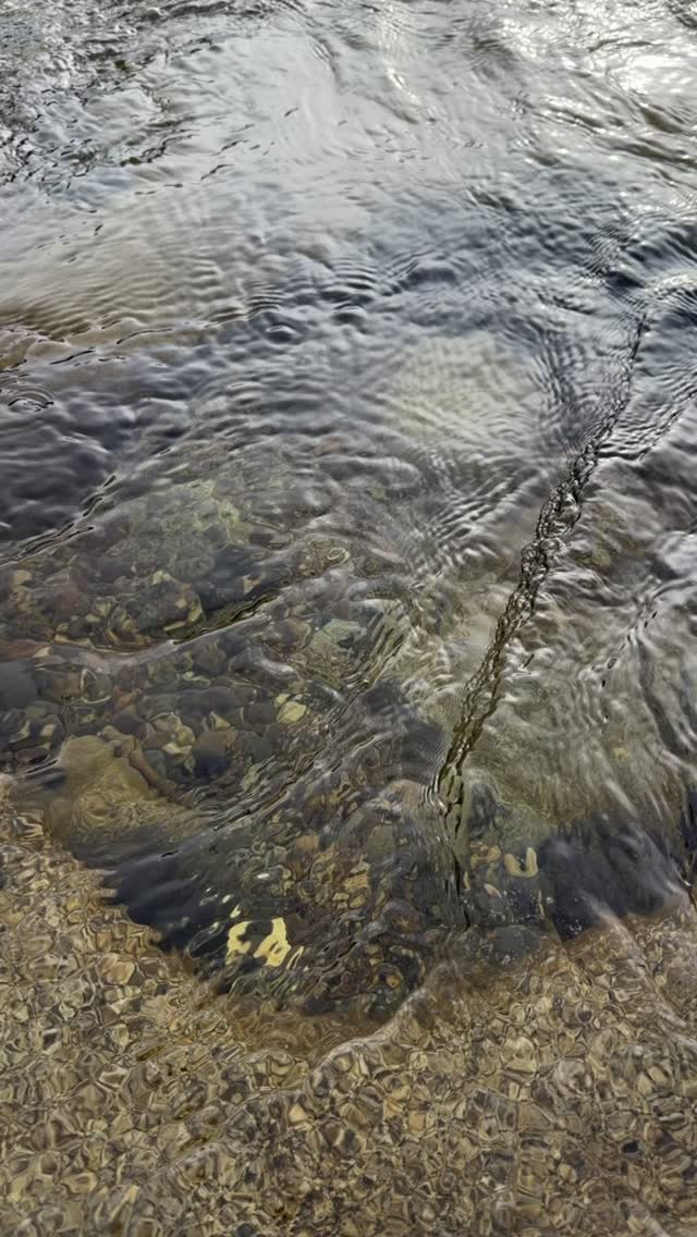 #metimeretreat #life no matter how cold it is there , I go to get nature’s medicine.