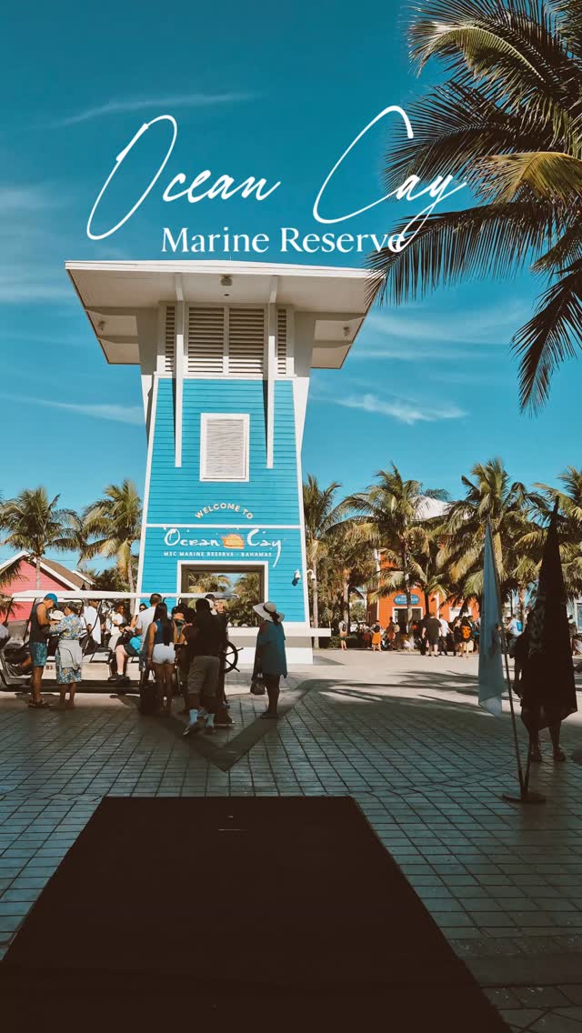 𝐏𝐫𝐨𝐨𝐟 𝐭𝐡𝐚𝐭 𝐛𝐥𝐮𝐞 𝐢𝐬 𝐚 𝐟𝐞𝐞𝐥𝐢𝐧𝐠, 𝐧𝐨𝐭 𝐚 𝐜𝐨𝐥𝐨𝐮𝐫💙.
Some places don’t need an itinerary.
They just ask you to arrive.
Ocean Cay, Bahamas — salt in the air, blue in every direction, and a quiet reminder that life doesn’t have to be rushed🌴.
This @msccruisesofficial exclusive private island is everything you would need from your Bahamas trip.
If this made you pause, save it🔖
If this made you dream, share it📲
#oceancay #mscseaside #msccruisesofficial #BahamasExperience #oceanlife