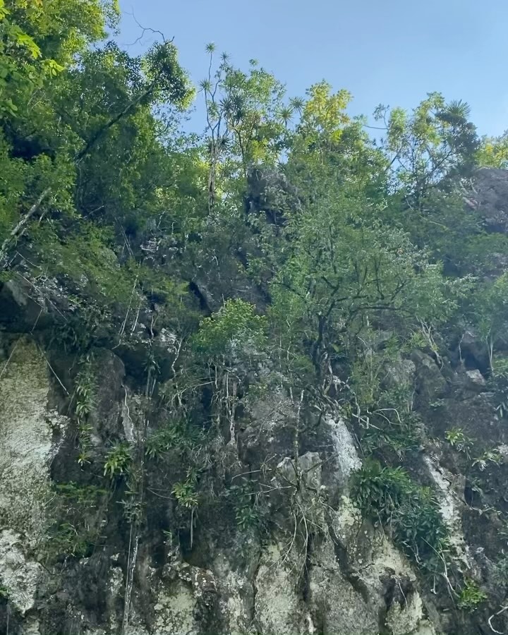 Cardiff could never 😤🇵🇭