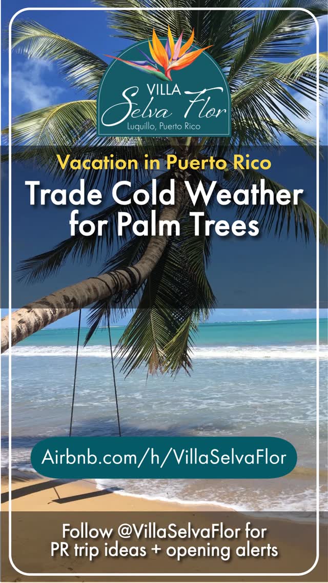 Cold mornings are overrated.
At Villa Selva Flor, your biggest decision is beach day or hammock first. Rainforest calm, coastal adventure, and warm breezes that make winter feel optional.
📍 Luquillo, Puerto Rico | Guest Favorite on Airbnb 🏆
Plan your escape → airbnb.com/h/villaselvaflor
#PuertoRico #PuertoRicoTravel #IslandEscape #WarmWeatherVibes #RainforestRetreat #BeachAndJungle #TravelGoals #VillaSelvaFlor