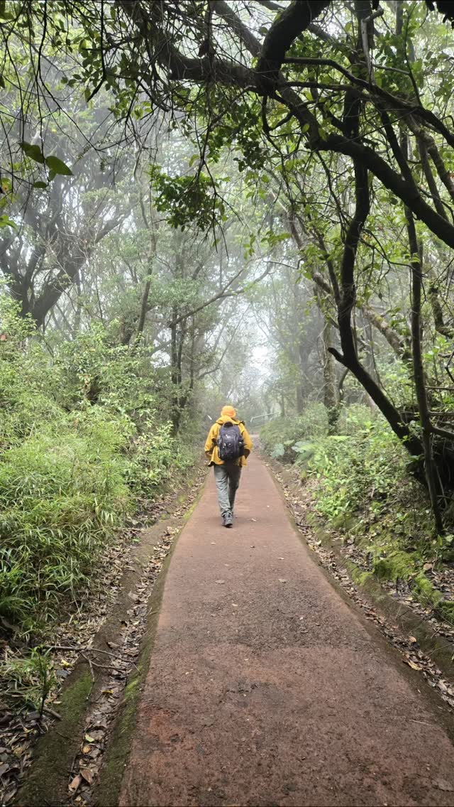 We're back from two weeks in Costa Rica and we were amazed! So much beauty on this Earth that needs to be protected 🌎🙏🏼
.
.
I'll be back @pikeplacepublicmarket on Thursday and Friday this week.
.
.
#visitcostarica #ornapottery #naturetravel #costarica