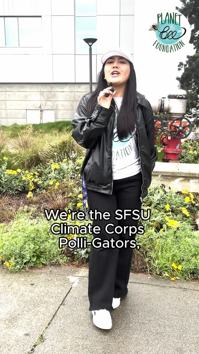 Bright, bold, and buzzing with benefits 🌼🐝
Looking to add native plants to your garden that bees actually love? Our amazing team from @sanfranciscostate @sfstate_collegecorps walk around campus to highlight pollinator-friendly plants you can find right here in California.
Up next: California poppy — iconic, drought-tolerant, and a favorite pit stop for native bees.
Follow @planet_bee for more plant IDs, bee love, and intern-led goodness 💛
#pollinators #interns #inaturalist #nativebees