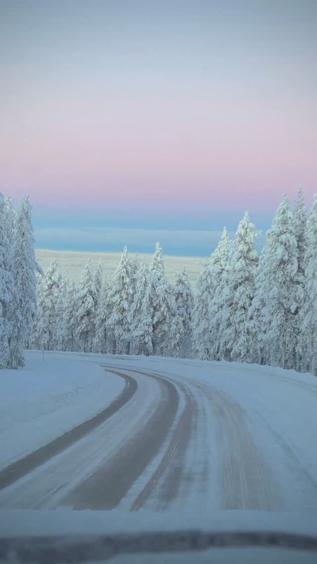 The sky is still pink in January
#levilapland #visitfinland #snowytrees