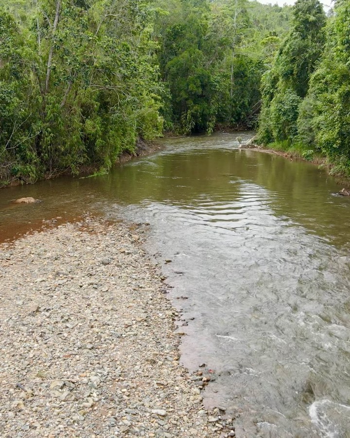 Tips on collecting eDNA samples in river systems:
•Always collecting the water samples facing upstream of the river, this to avoid contamination.
•Water samples for eDNA analysis can be collected very rapidly if all samples are filtered afterwards in a lab (filtration should be completed within 24 hours of collection).
•Attention requires to be taken to prevent cross-contamination during the samples transport, always double sealed each sample.
📷: IS