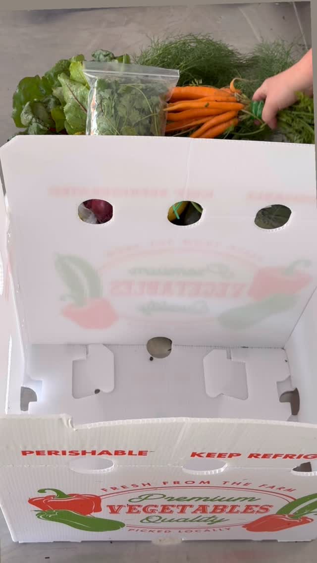 Let us be your farmers this coming season! 🧑🏻🌾👩🏻🌾
Our CSA Farm Boxes are filled with fresh, certified organic produce that’s grown in our fields and delivered straight to your table. Hoping our CSA means enjoying the freshest produce all season long. 🌱🥕🍅
✨ Weekly or bi-weekly shares
✨ Home delivery & local pickup
✨ Limited spots available
👉 Sign up for our CSA through the link in our bio
#CSA #CSAFarm #SupportLocalFarm #organic #middleburyfarms MiddleburyFarms