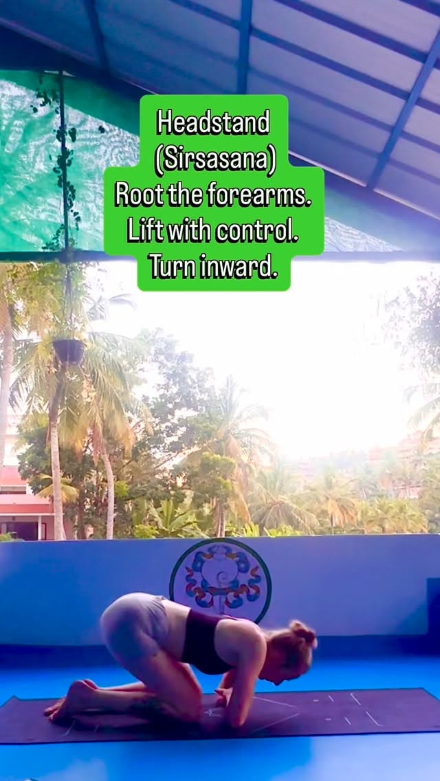 Day 26 of 31 days of yoga 🧘♀️
Headstand is a classic inversion that builds strength, balance, and focus.
This pose strengthens the shoulders and core, improves body awareness, and encourages calm, steady breathing while upside down.
Move slowly. Stay present.
#2026 #challenge #headstand #limbdifference #yoga