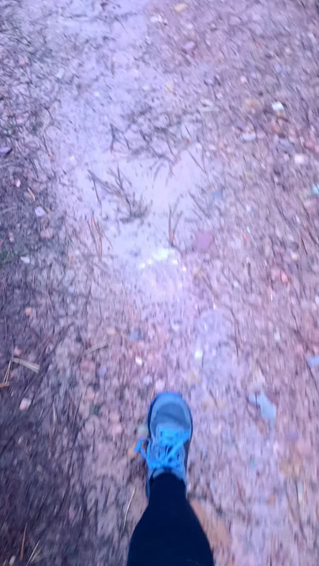 🇪🇸 Las últimas lluvias están transformando nuestros paisajes. 🌧️💧
En toda España, los embalses se recuperan y ríos y arroyos, muchos de ellos estacionales, vuelven a brotar con fuerza por cada rincón de nuestras sierras.
Aquí, en el cercano Parque Natural Despeñaperros, en Sierra Morena (Jaén), nace este arroyo que entrega sus aguas al Río Guarrizas, un refugio de biodiversidad, hogar del lince ibérico y del águila imperial ibérica.
Ya asoman los primeros narcisos en flor y en breve lo harán las extraordinarias orquídeas, y pronto, la primavera llenará este rincón de Andalucía de grandes posibilidades para la observación de aves forestales y rapaces en la Sierra de Andújar, de quebrantahuesos en las Sierras de Cazorla, Segura y Las Villas, de lince ibérico en el Valle del Río Guarrizas, o de aves esteparias en Castilla La Mancha.
No lo pienses, solo hazlo y disfruta.
Te acompañarán guías locales con formación en biología, seguimiento de fauna silvestre y ecoturismo.
Más información y reservas:
www.lyncisecoturismo.com
lyncisecoturismo@gmail.com
(+34) 603 90 74 35
🇬🇧 Recent rainfall is transforming our landscapes. 🌧️💧
Across Spain, reservoirs are recovering and rivers and streams — many of them seasonal — are flowing again, bringing life back to every corner of our mountain ranges.
Here, in the nearby Despeñaperros Natural Park, in Sierra Morena (Jaén), this stream is born before joining the Guarrizas River, a true biodiversity refuge and home to the Iberian lynx and the Spanish imperial eagle.
The first daffodils are already in bloom, and the extraordinary orchids will soon follow. Before long, spring will fill this corner of Andalusia with outstanding opportunities for wildlife observation: forest birds and birds of prey in the Sierra de Andújar, bearded vultures in the Sierras of Cazorla, Segura and Las Villas, the Iberian lynx in the Guarrizas River Valley or steppe birds in Castilla La Mancha.
Don’t overthink it, just do it and enjoy.
You will be accompanied by local guides trained in biology, wildlife monitoring and ecotourism.
More info and bookings:
www.lyncisecoturismo.com
lyncisecoturismo@gmail.com
(+34) 603 90 74 35