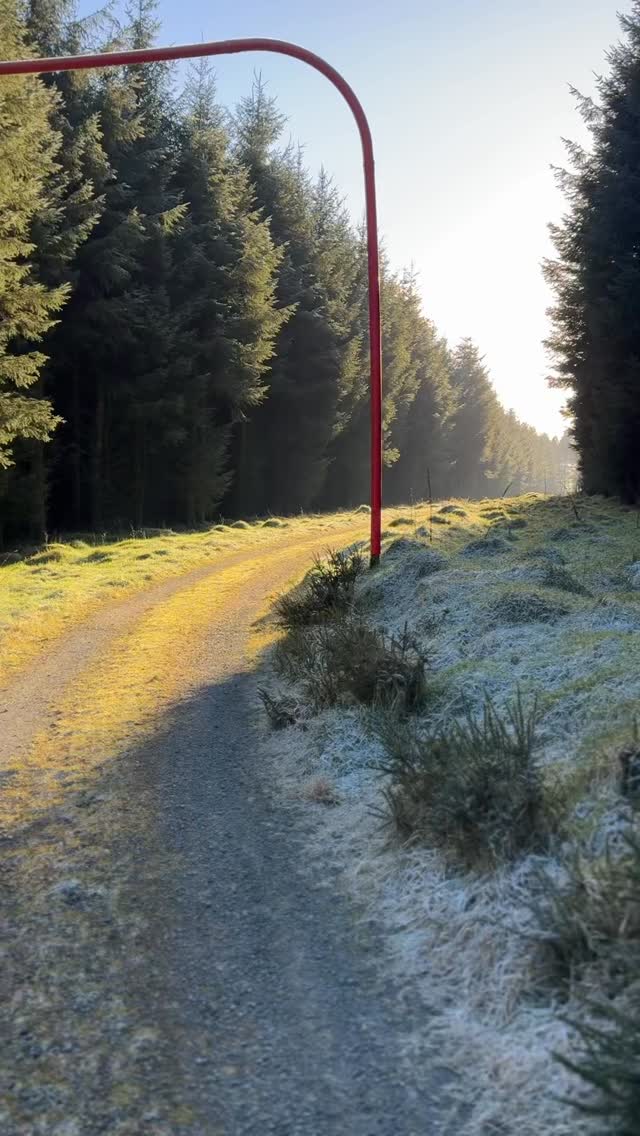 I’ve heard the seat has since been removed, but the view still slaps! Ireland’s beauty still delivers on the daily!