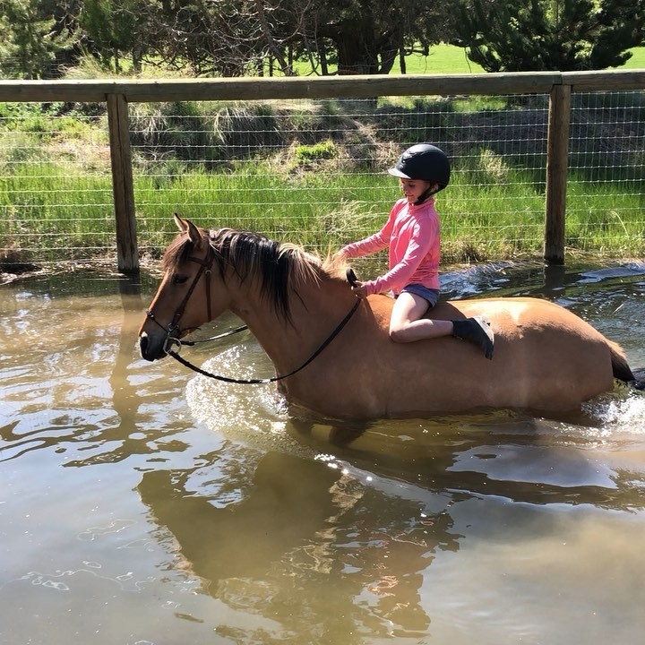 7-year-old Quinlyn taking Koa for the first swim of the year. Sound on if you want to hear the giggles! Koa is a Kiger Mustang. She LOVES water and has helped me teach so many horses to be good in water. She can often be found wading in the canal a couple times a day to cool off when it is the hot season. We are so lucky to have a horse like Koa. 💫 Follow to see more videos of Koa the Wonderful!
⌨️ Comment if this looks like fun to you!
💌 Message me if you want to visit Pony Pros! We have internships available 🌈 Share if you love riding in the water 💦
#barebackriding #horseinwater #horse🐴 #kigermustang #mustanghorse #horsegirl #pferdefreunde #besthorseever #equestrianblog #equestrianlove #equinelife #equinelove #equineofinstagram #horsebackride #horsebackrider #horseblogger #horsegram #horselovers #horseloversofinstagram #horsepassion #horseriding🐴 #horsesofinstagramdaily #horsesoninstagram #rescuehorse
#naturalhorsemanship