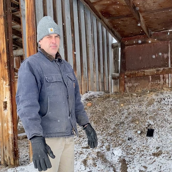 Time for a nerdy soil health post. Exciting times here on the farm, folks - the composting microorganisms are still active in the freezing Foothills! 🎉
Travis wasn’t excited to take this video 🥶 but this guy loooooves his microorganism children. The temperature was read with a 21” long thermometer and was still climbing in this video, but ended up at +43 degrees C. We are currently sitting at -19 degrees C (-26C with windchill for us)...that’s a whoppin’ 62 degree differential! Isn’t Mother Nature powerful?
As mentioned, our compost consists of approximately 30 carbon (straw, dried leaves, hay, paper scraps) to 1 nitrogen (horse, pig, cow, chicken manures and fruit/vegetable scraps). This is turned about twice a month with a tractor loader. As it breaks down it gets moved down the line until it no longer composts, which at that time is ready to be used as a garden amendment. Wise Owl Trav’s farmer tip of the day - if it’s stinky, add carbon, and if it’s not creating heat, add nitrogen.
Can’t wait to use this brewing pot of gold in our farm’s gardens! Between Travis & Jagger’s fruit trees, Ava’s indoor plants and my vegetable/flower gardens, it most certainly won’t last long. 🌱
#soilhealth #regenerativeagriculture #regernerativefarming #permaculture #microorganisms #farmtwo53 #farm #compost #foothillsfarm #gardencompost