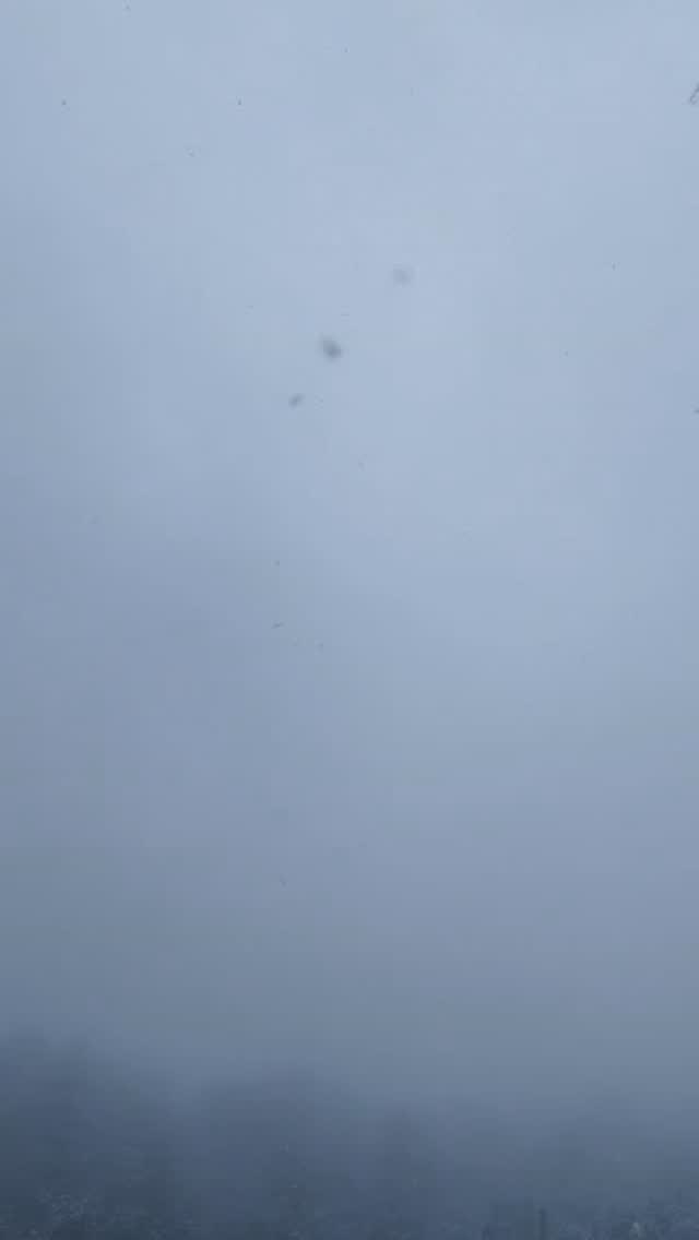 It’s snowing again ❄️
No noise. No rush.
Just cold air, slow time, and the mountains doing what they do best
Some moments don’t need filters.
They just need silence.
#himvanliti #snowfall #morning #himalayas #uttarakhand #home #nature #retreat #ecohome #kumaon #highaltitude #homestay #ecohome #ecoretreat #solitude