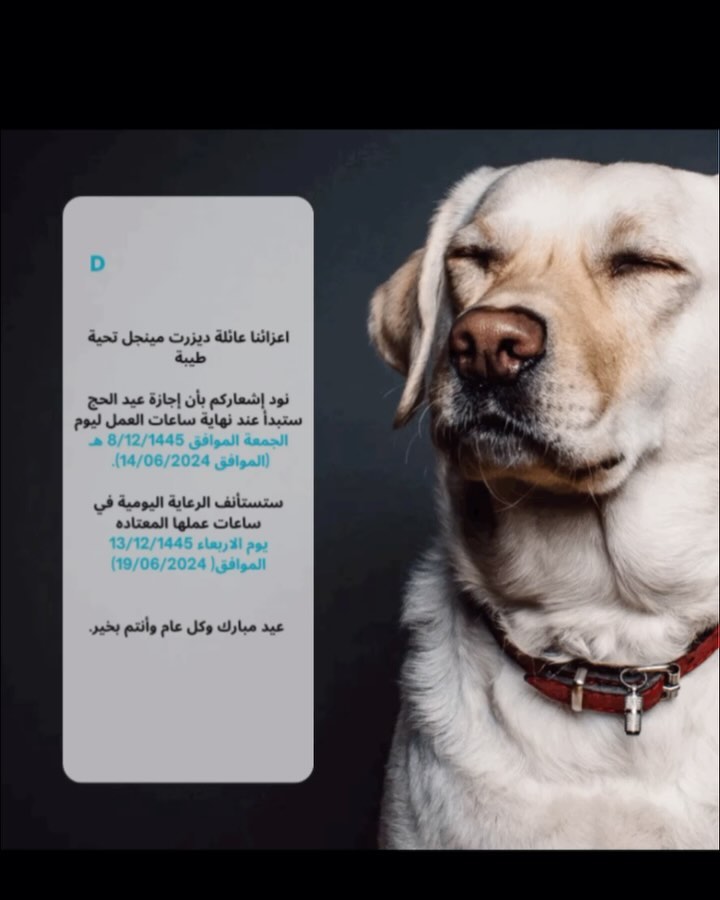 اعزائنا عائلة ديزرت مينجل
تحية طيبة
نود إشعاركم بأن إجازة عيد الحج ستبدأ عند نهاية ساعات العمل ليوم الجمعة الموافق 8/12/1445 هـ (الموافق 14/06/2024).
ستستأنف الرعاية اليومية في ساعات عملها المعتاده يوم الاربعاء 13/12/1445 الموافق( 19/06/2024)
عيد مبارك وكل عام وأنتم بخير. 🤲🏻🌸🐾🐶
Dear DESERT Mingle family,
Greeting,
We will be closed for Eid Al-Hajj Holiday and it at the end of business hours on Friday 08/12/1445 (14/06/2024).
DayCare will resume for normal hours on Wednesday 13/12/1445 (19/06/2024).
Eid Mubarak to you all. 🌸🐾🐶
#saudiarabia #desertmingle #snapchatspotlight #رعاية_الكلاب#الرياض_الان